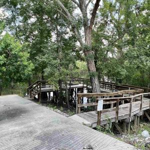 Photo #5 of 286 Rivers Edge Dr., Conway, SC 0.3 acres