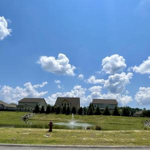 Photo #3 of 286 Rivers Edge Dr., Conway, SC 0.3 acres