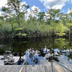 Photo #6 of 286 Rivers Edge Dr., Conway, SC 0.3 acres