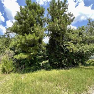 Photo #1 of 286 Rivers Edge Dr., Conway, SC 0.3 acres