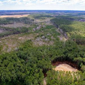 Aerial view with a view of trees