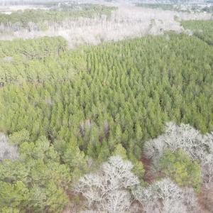 Birds eye view of property featuring a forest view