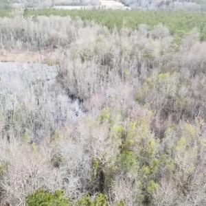 Drone / aerial view featuring a forest view and a