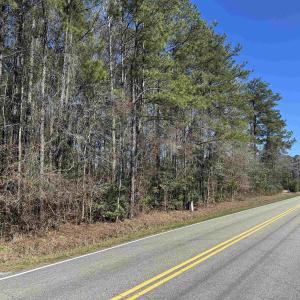 View of road featuring a wooded view