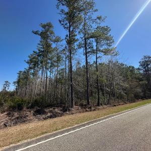 View of road featuring a wooded view