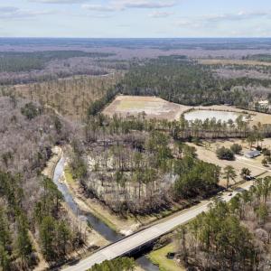 Aerial view featuring a view of trees