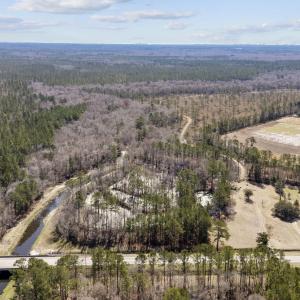 Bird's eye view with a view of trees and a water v