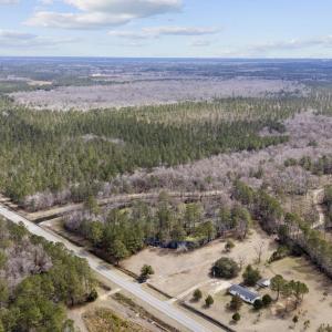 Bird's eye view with a forest view