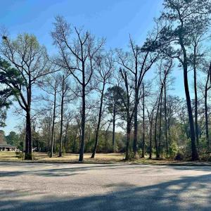 Photo #3 of TBD N Main St., Nichols, SC 1.3 acres