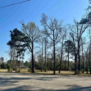 Photo #4 of TBD N Main St., Nichols, SC 1.3 acres