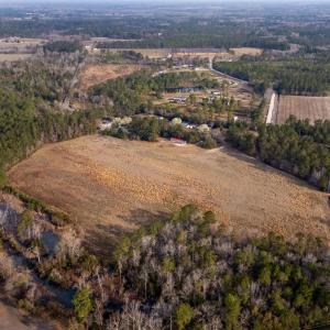 Photo #18 of Lot 7 Apple Valley Rd., Loris, SC 11.1 acres