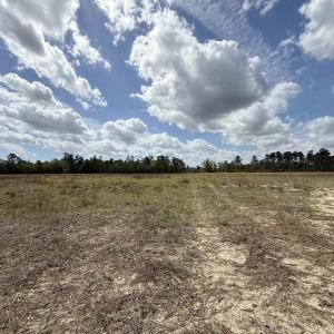 Photo #1 of Lot 7 Apple Valley Rd., Loris, SC 11.1 acres