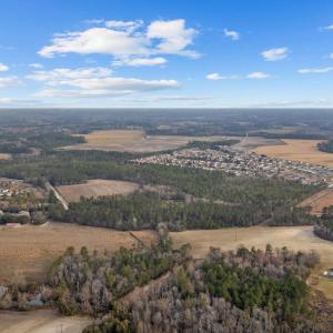 Photo #16 of Lot 7 Apple Valley Rd., Loris, SC 11.1 acres