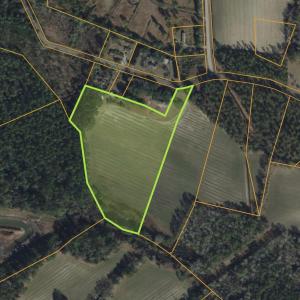 Photo #2 of Lot 7 Apple Valley Rd., Loris, SC 11.1 acres
