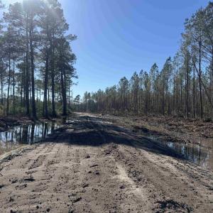 Photo #8 of 8862 Ware Dr., Nichols, SC 23.2 acres