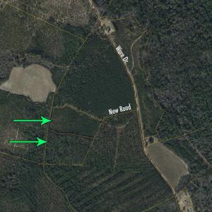 Photo #1 of 8862 Ware Dr., Nichols, SC 23.2 acres