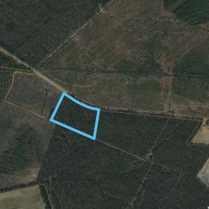 Photo #3 of TBD Joyner Swamp Rd., Galivants Ferry, SC 9.9 acres