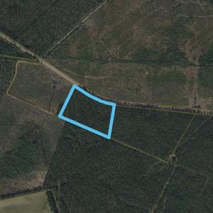 Photo #5 of TBD Joyner Swamp Rd., Galivants Ferry, SC 9.9 acres