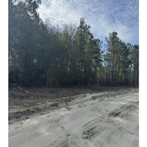 Photo #5 of TBD Thompson Rd., Nichols, SC 3.0 acres