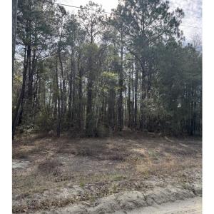 Photo #6 of TBD Thompson Rd., Nichols, SC 3.0 acres