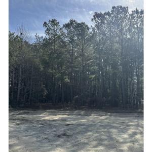 Photo #2 of TBD Thompson Rd., Nichols, SC 3.0 acres