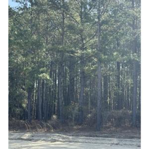 Photo #3 of TBD Thompson Rd., Nichols, SC 3.0 acres