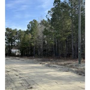 Photo #1 of TBD Thompson Rd., Nichols, SC 3.0 acres