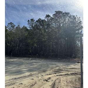 Photo #4 of TBD Thompson Rd., Nichols, SC 3.0 acres