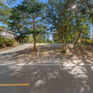 View of yard with concrete driveway