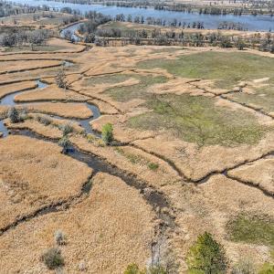 Photo #9 of TBD Congressional Dr., Pawleys Island, SC 0.4 acres