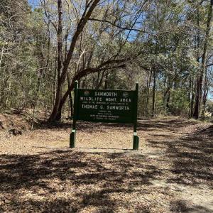 Photo #14 of Lot 9 Samworth Loop, Georgetown, SC 5.0 acres
