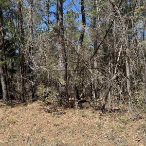 Photo #10 of Lot 9 Samworth Loop, Georgetown, SC 5.0 acres