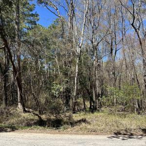 Photo #6 of Lot 9 Samworth Loop, Georgetown, SC 5.0 acres