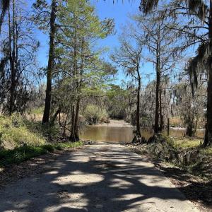 Photo #18 of Lot 9 Samworth Loop, Georgetown, SC 5.0 acres