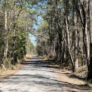 Photo #5 of Lot 9 Samworth Loop, Georgetown, SC 5.0 acres