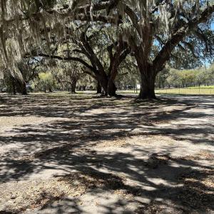 Photo #20 of Lot 9 Samworth Loop, Georgetown, SC 5.0 acres