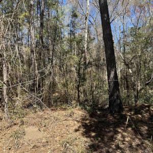 Photo #11 of Lot 9 Samworth Loop, Georgetown, SC 5.0 acres