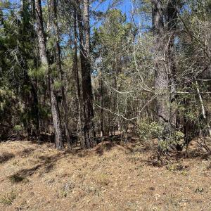 Photo #9 of Lot 9 Samworth Loop, Georgetown, SC 5.0 acres