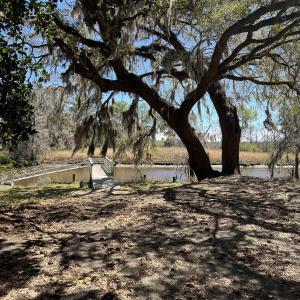Photo #23 of Lot 9 Samworth Loop, Georgetown, SC 5.0 acres