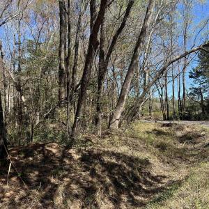 Photo #12 of Lot 9 Samworth Loop, Georgetown, SC 5.0 acres