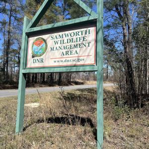 Photo #4 of Lot 9 Samworth Loop, Georgetown, SC 5.0 acres