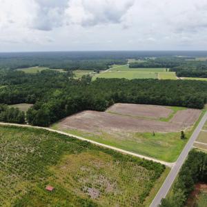 Photo #7 of TBD Highway 308, Galivants Ferry, SC 1.7 acres