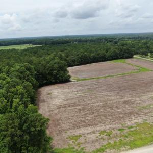Bird's eye view featuring a wooded view and a rura