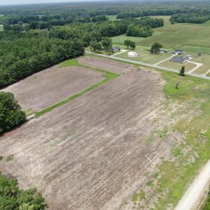 Photo #7 of TBD Highway 308, Galivants Ferry, SC 6.2 acres