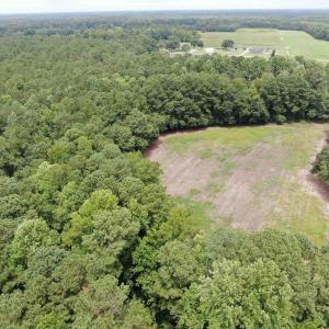 Photo #7 of TBD Highway 308, Galivants Ferry, SC 5.8 acres