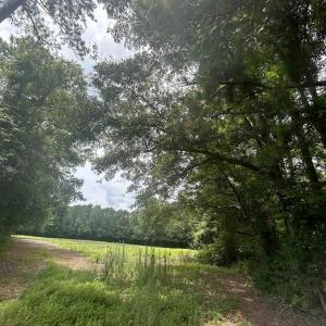 Photo #12 of TBD Highway 308, Galivants Ferry, SC 5.8 acres