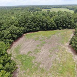 Drone / aerial view with a wooded view