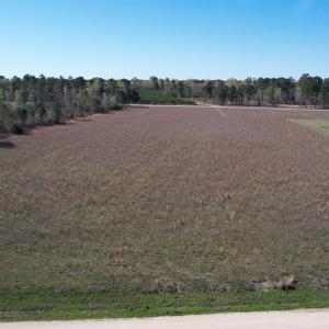 Photo #2 of Lot 38 Gulley Ln., Salters, SC 2.4 acres