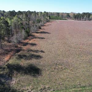 Photo #3 of Lot 38 Gulley Ln., Salters, SC 2.4 acres
