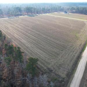 Photo #5 of Lot 38 Gulley Ln., Salters, SC 2.4 acres